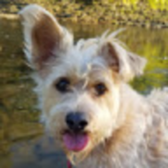 Meet your Posher, Heather - Picture 1 of 1